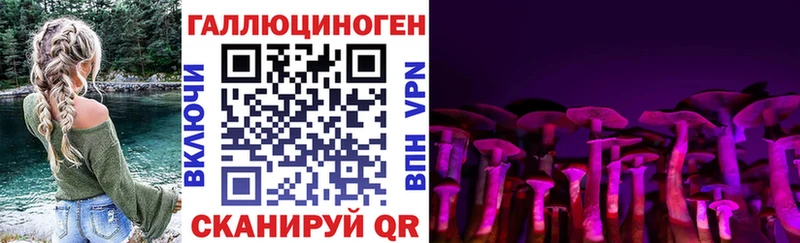 закладка  Меленки  ОМГ ОМГ как зайти  Галлюциногенные грибы Magic Shrooms 